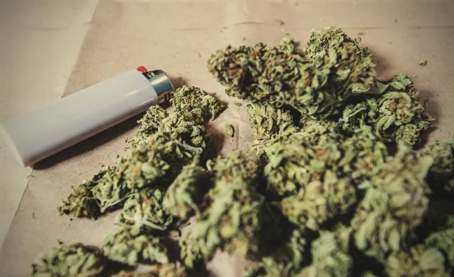 Explore Different Strains When You Buy Weed Online