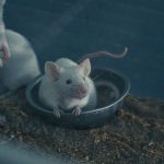 F&B MICE growth strategy