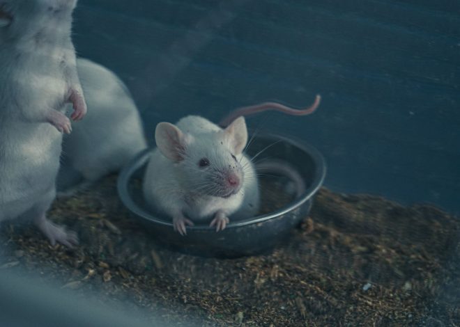 F&B MICE Growth Strategy: Proven Ways to Boost Engagement