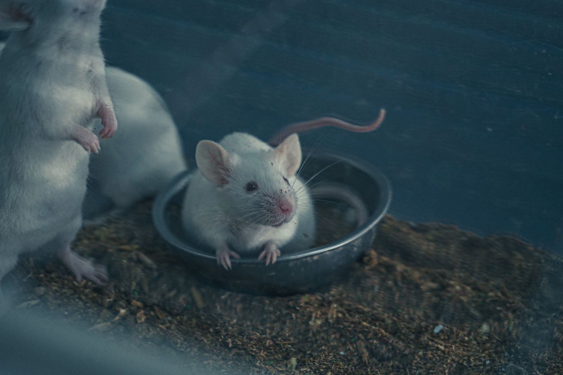 F&B MICE Growth Strategy: Proven Ways to Boost Engagement