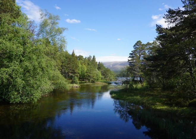 Cairngorms Green Loch: Is It Safe After the Wildfire?