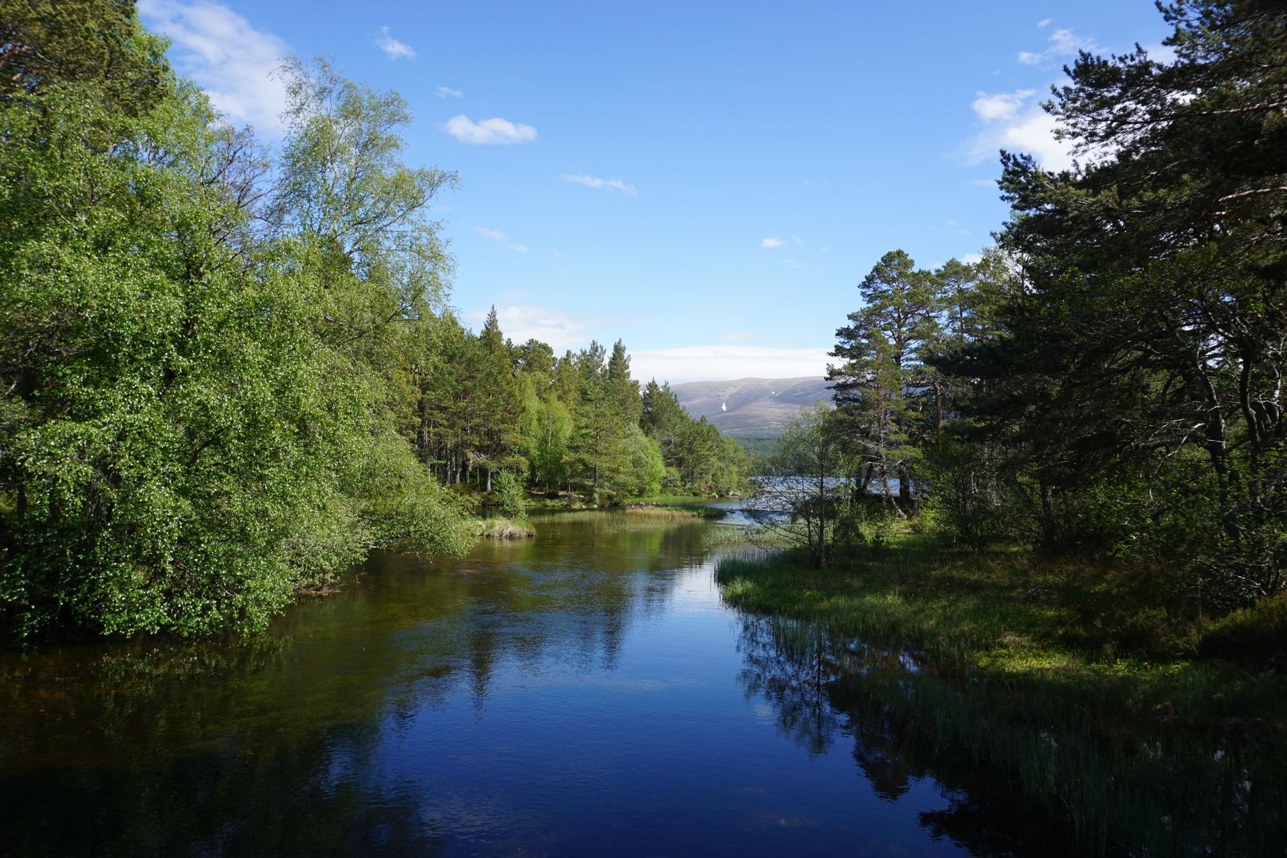 Cairngorms Green Loch: Is It Safe After the Wildfire?