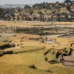 community-based agro-tourism