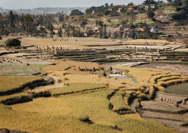 Is Community-Based Agro-Tourism the Best New Travel Trend?
