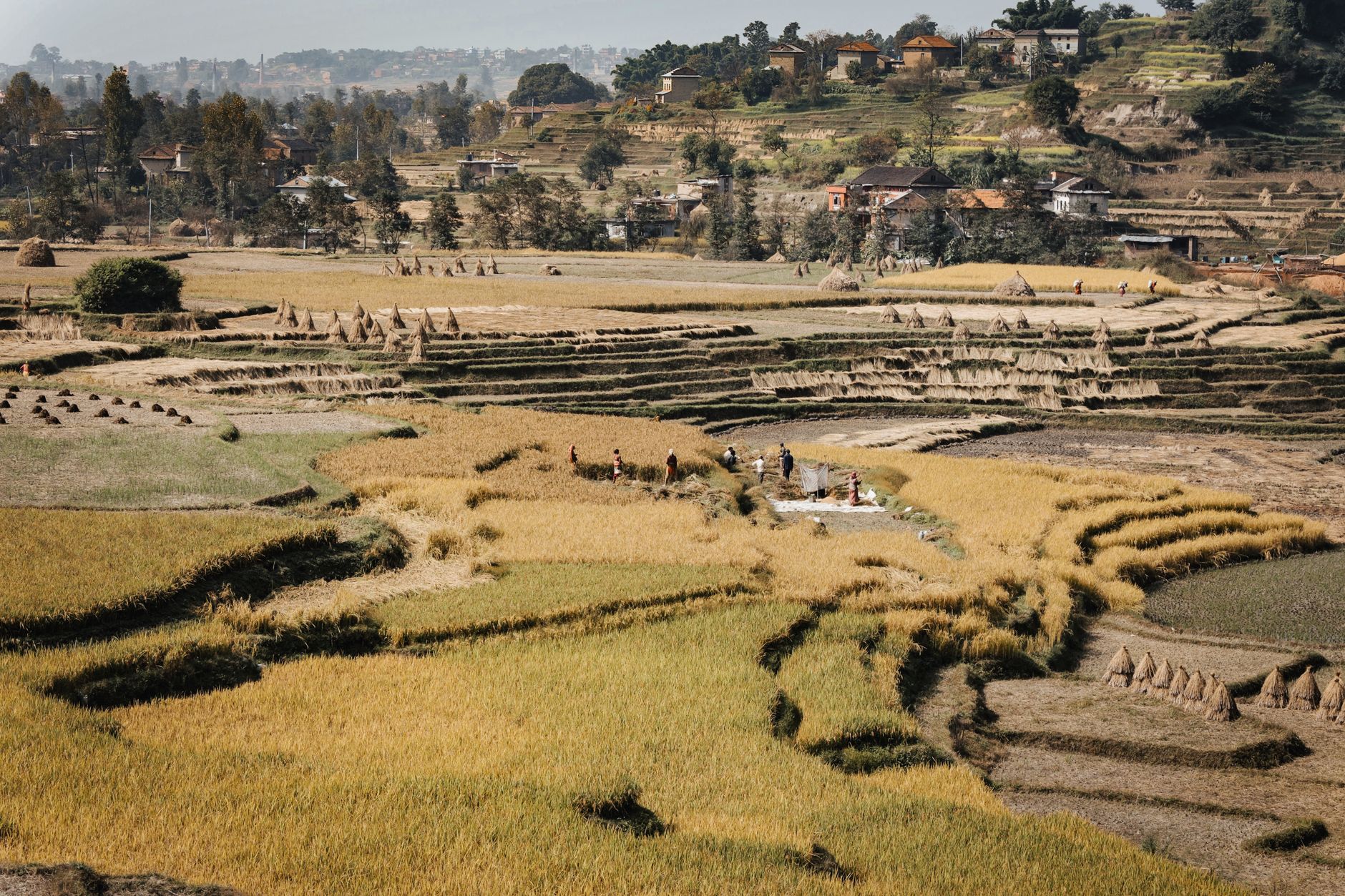 Is Community-Based Agro-Tourism the Best New Travel Trend?