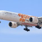 Dubai flight disruption