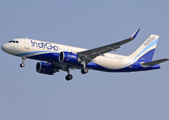 IndiGo Flights to Udaipur Make Travel Easy and Quick