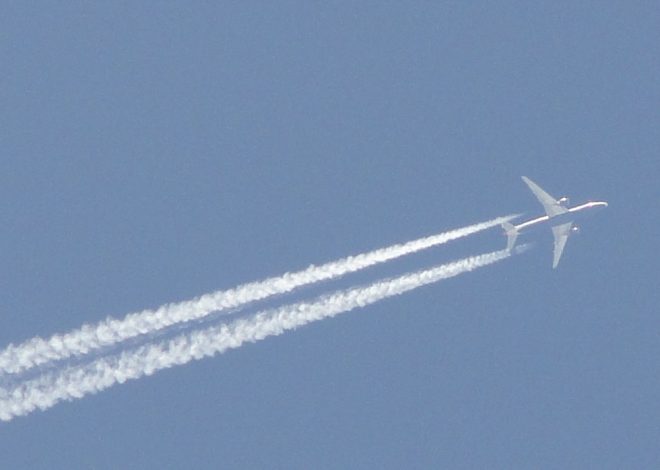 Navi Mumbai airport flights: What’s the best way to travel?