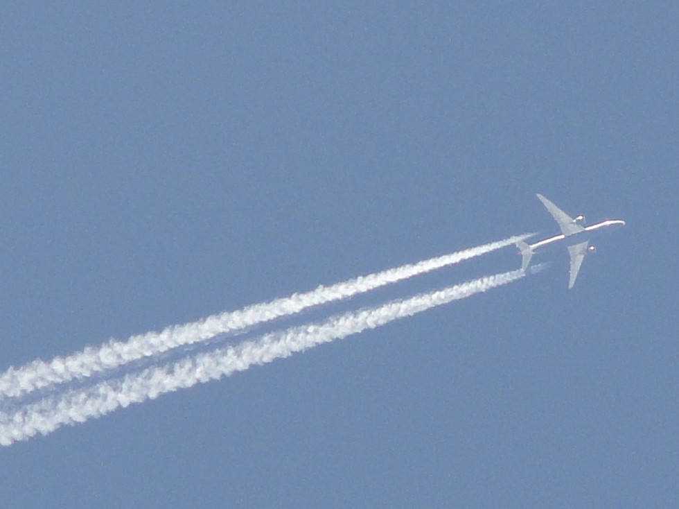 Navi Mumbai airport flights: What’s the best way to travel?