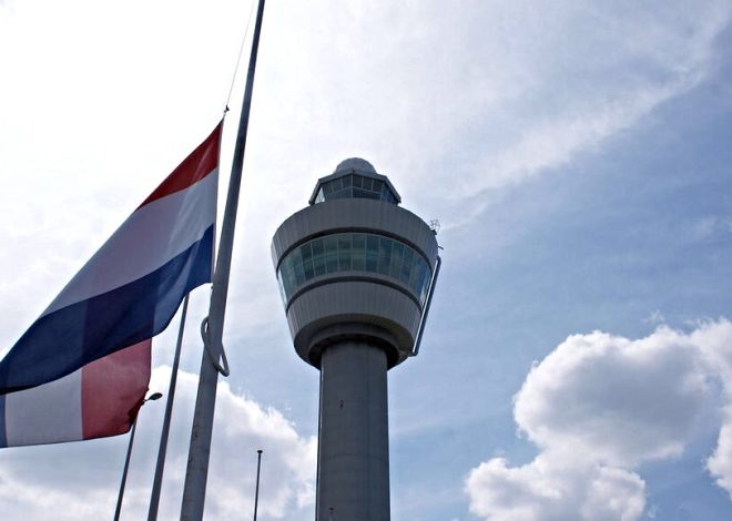 New Airline Routes: What Are the Best Options This Week?