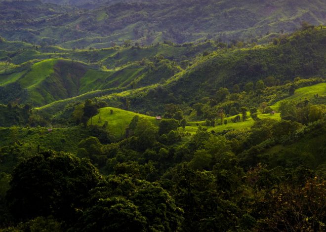 Sajek Valley Tourism: The Best Place to Explore Nature