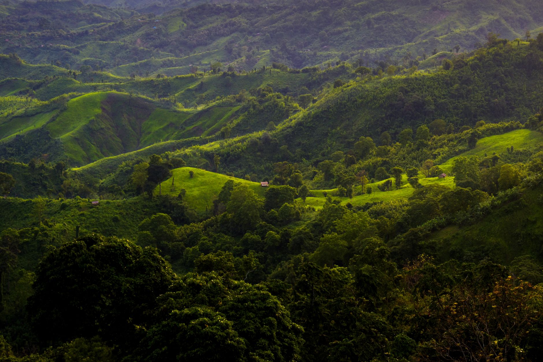 Sajek Valley Tourism: The Best Place to Explore Nature